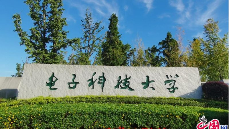 整流二极管型号解析：揭秘封装与性能的奥秘**
